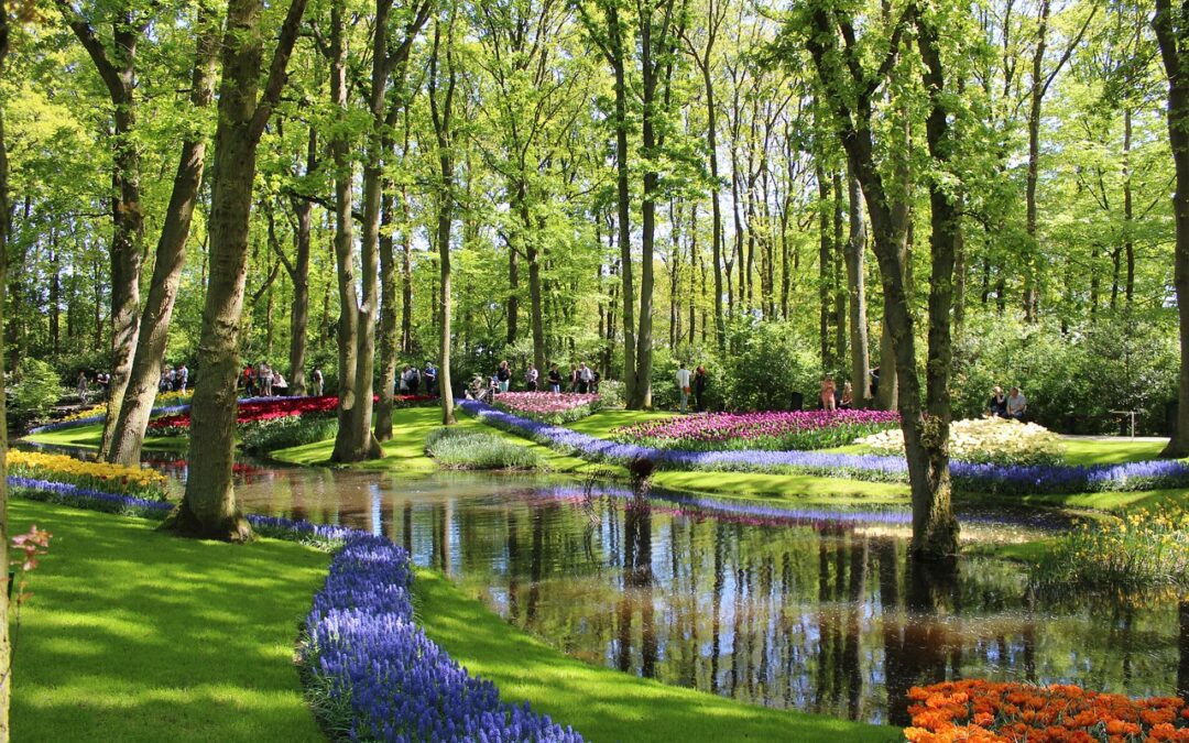 Холандия, страната на цветята
